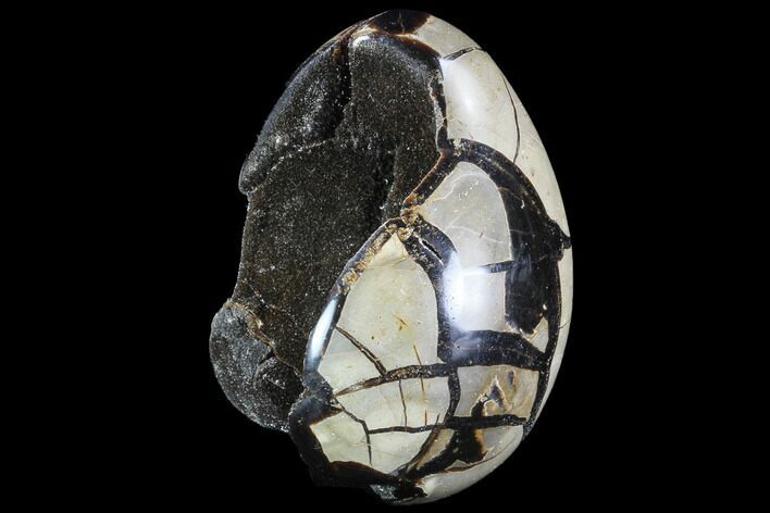 Septarian Dragon Egg Geode - Black Crystals #88498